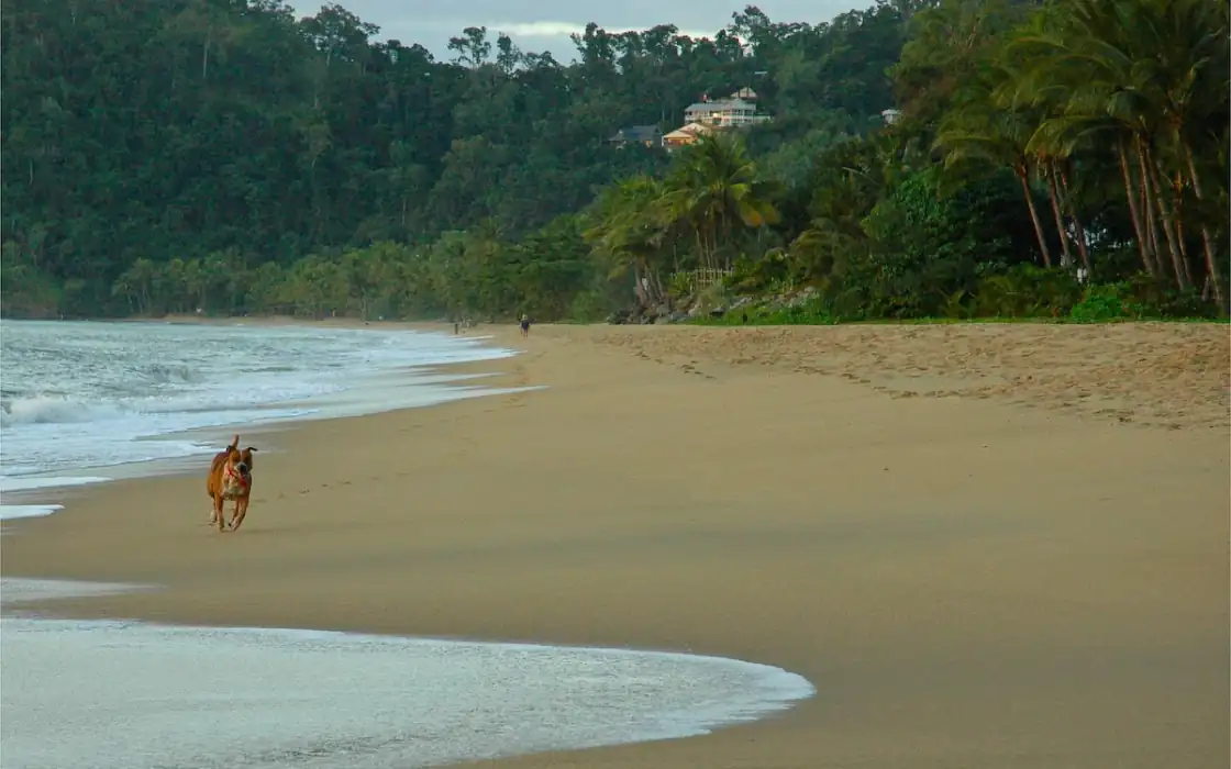 Trinity Beach, Far North Queensland